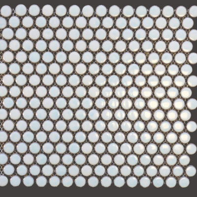 Shiny Sky Blue Penny