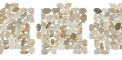 White Snowball Flat